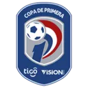 Logo de Division Profesional - Apertura