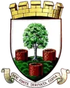 Logo del club Wells City