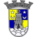 Logo del club Sintrense