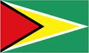 Logo del club Guyana