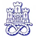 Logo del club Newcastle Town