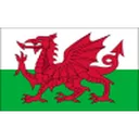 Logo del club Wales