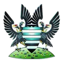 Logo del club Salisbury